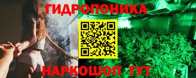 прущие крисы Новозыбков